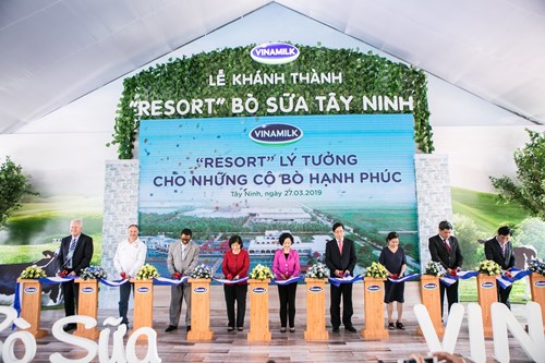 Hệ thống trang trại bò sữa Vinamilk đạt mức tăng trưởng ấn tượng